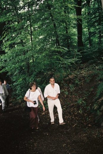 noch mehr waldlufer